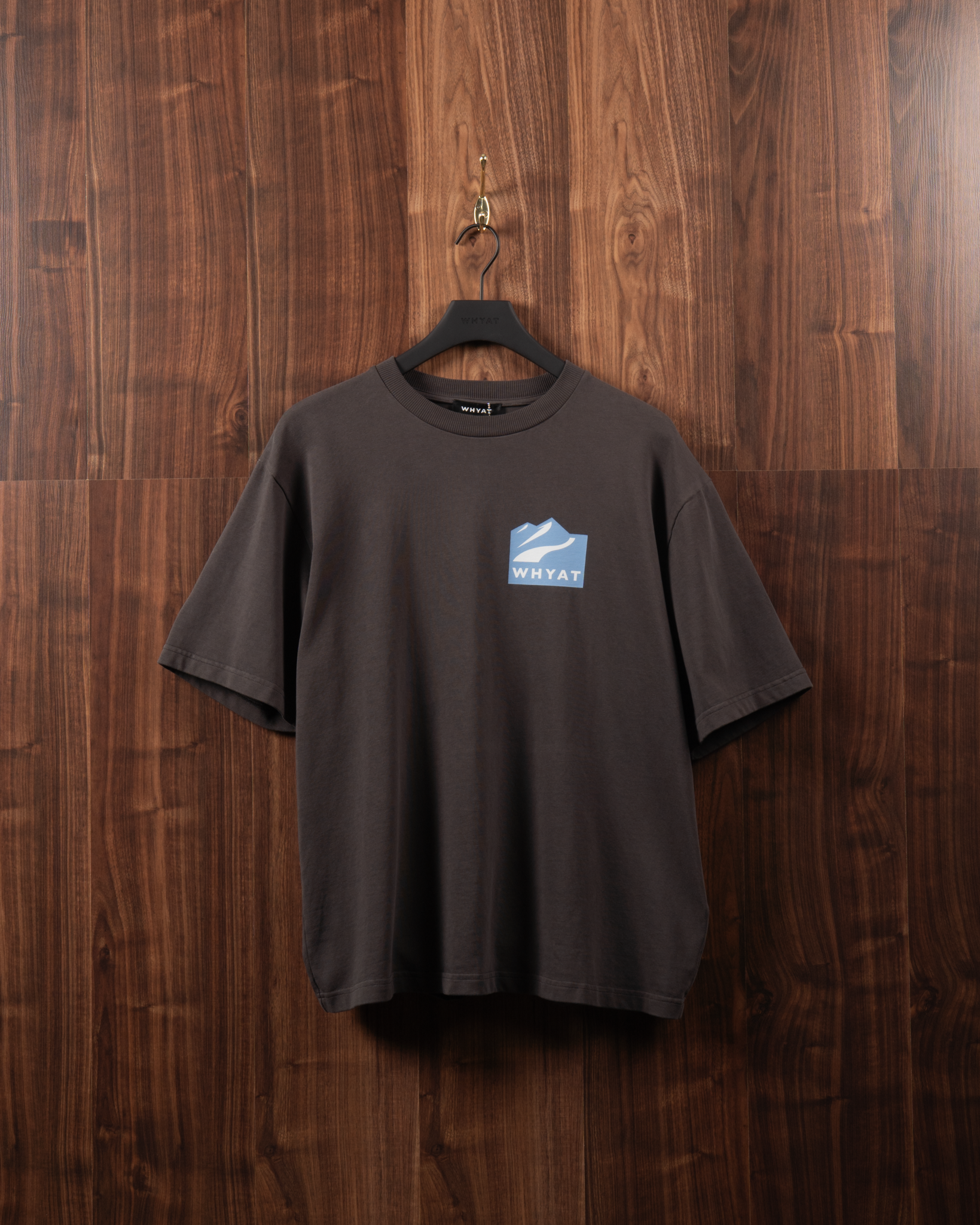 WHYAT TEE MOUTAIN -VINTAGE GREY
